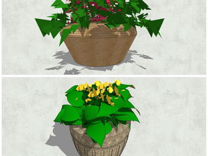 精品陶罐花卉綠植景觀小品花缽SU模型設(shè)計圖下載與植物景觀庫應(yīng)用指南